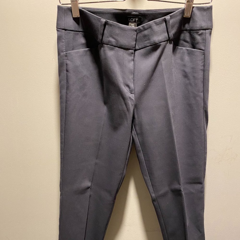 LOFT Slate Gray/Cool Blue Skinny Pants Sz 4